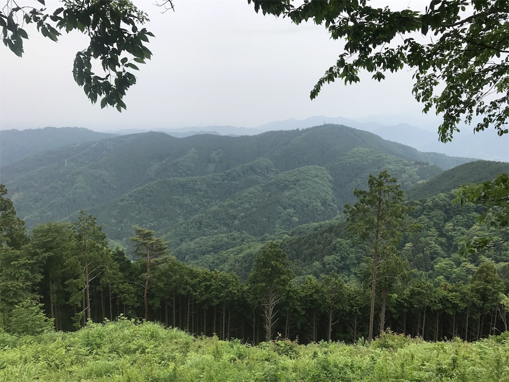 f:id:nekosippona:20180528201915j:image