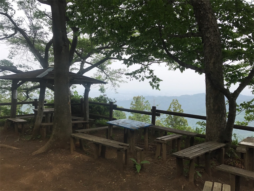 f:id:nekosippona:20180528202914j:image