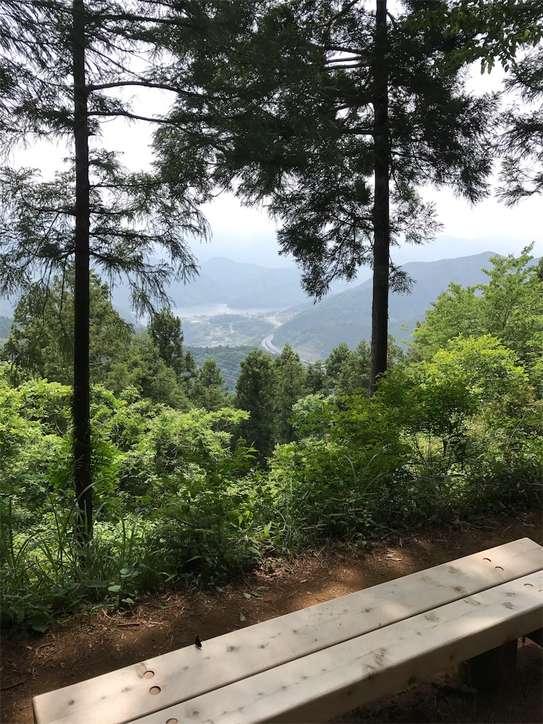 f:id:nekosippona:20180528202933j:image