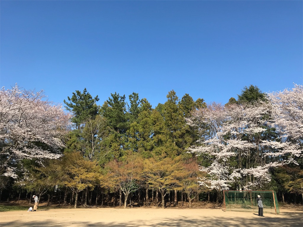 桜の広場