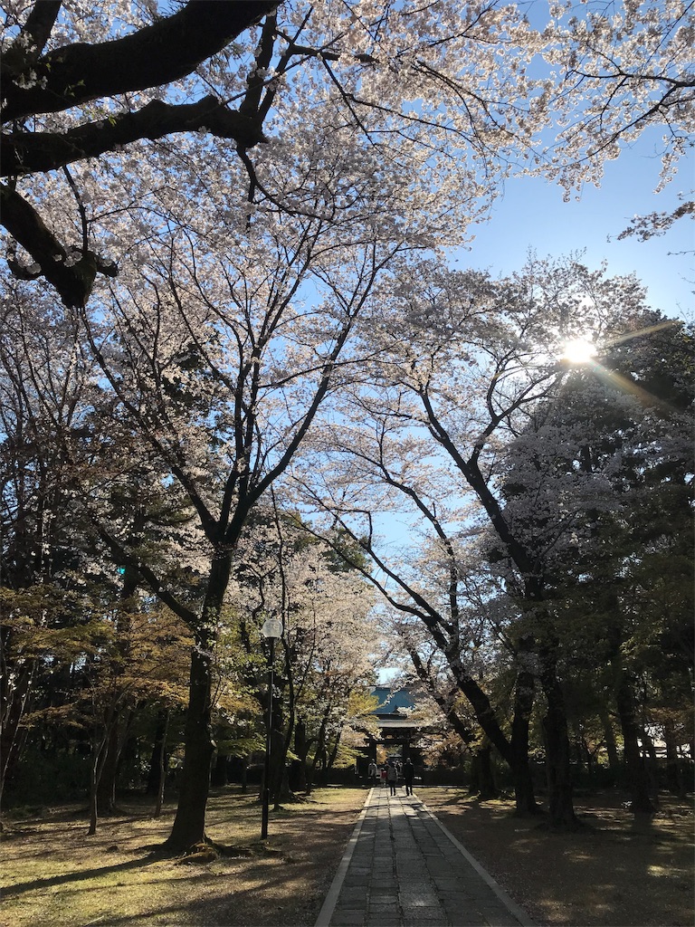 東漸寺参道