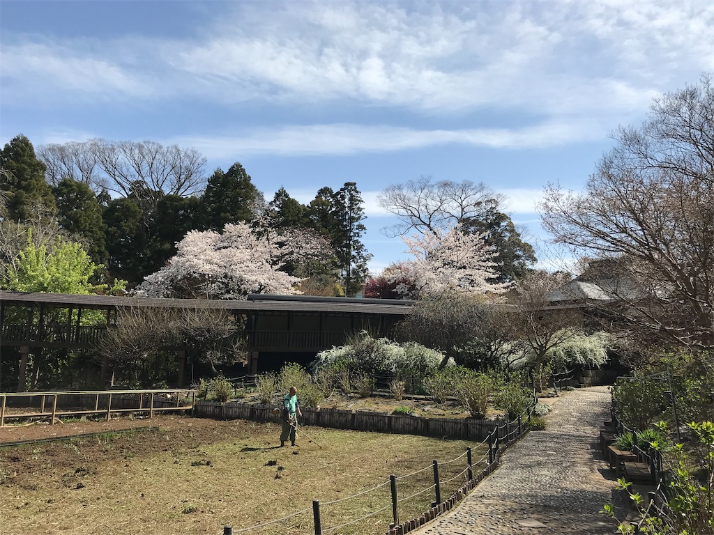 整備中の菖蒲池