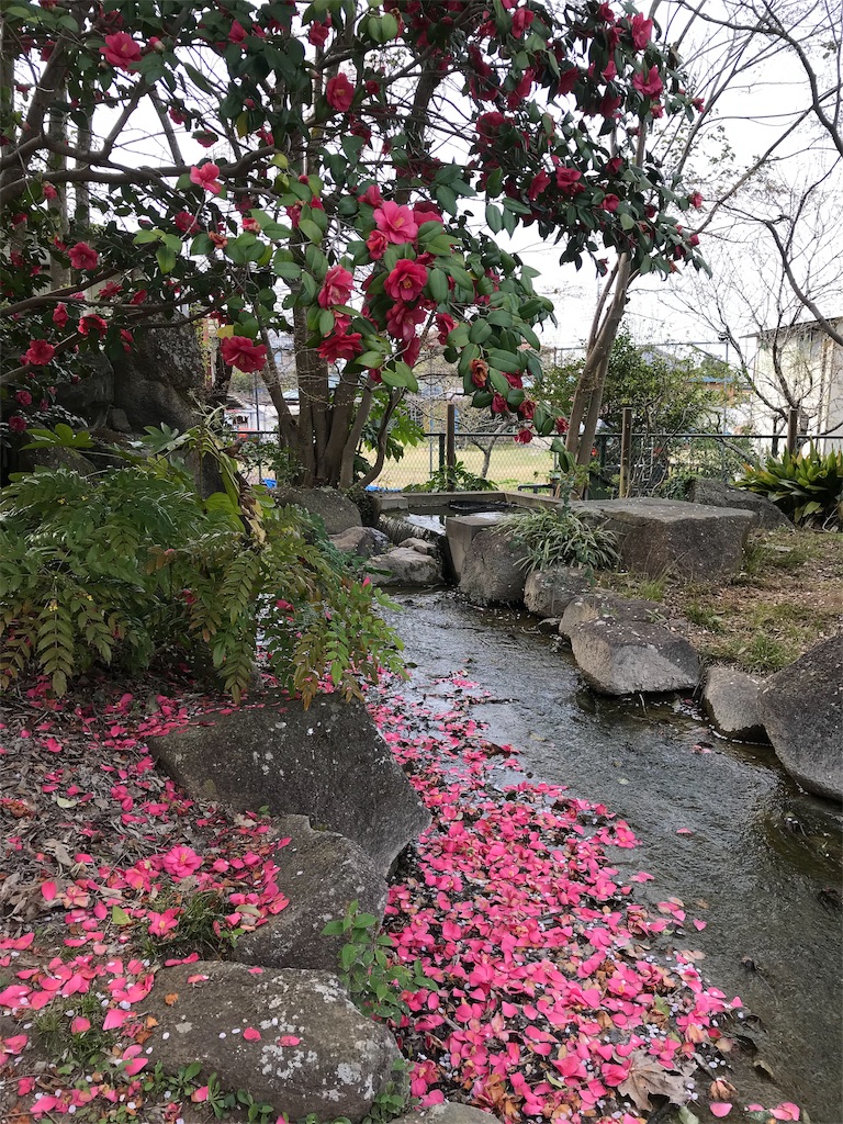 f:id:nekosippona:20190408175751j:image