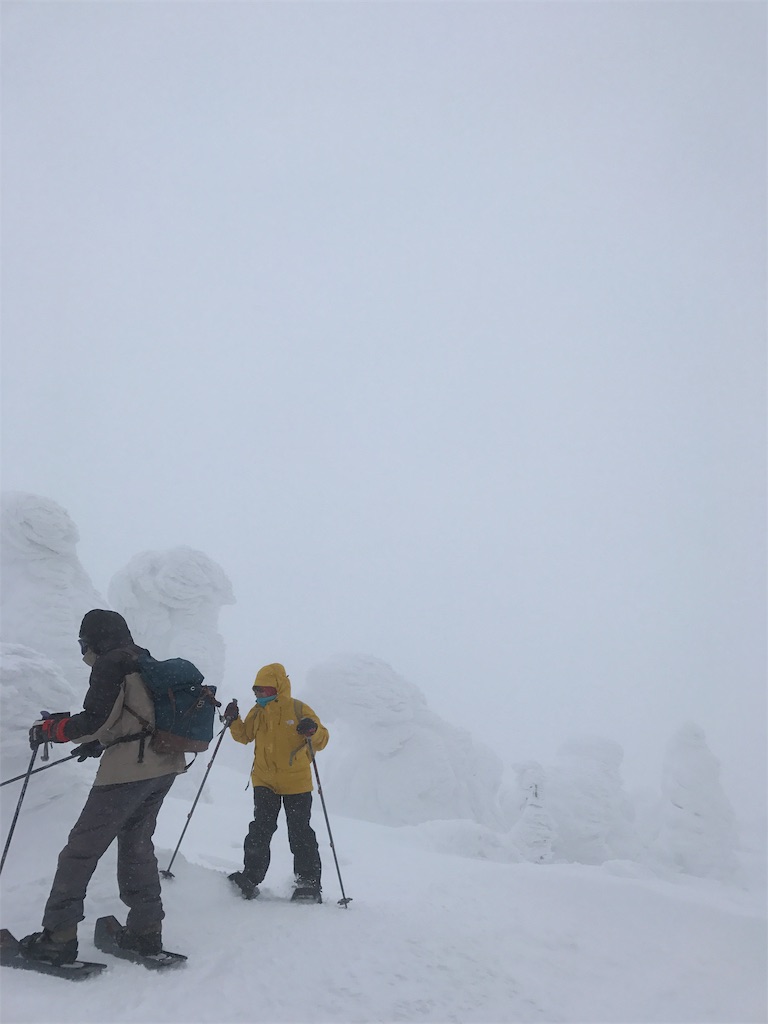 強風と吹雪に思わずスノーモンスターの陰に。