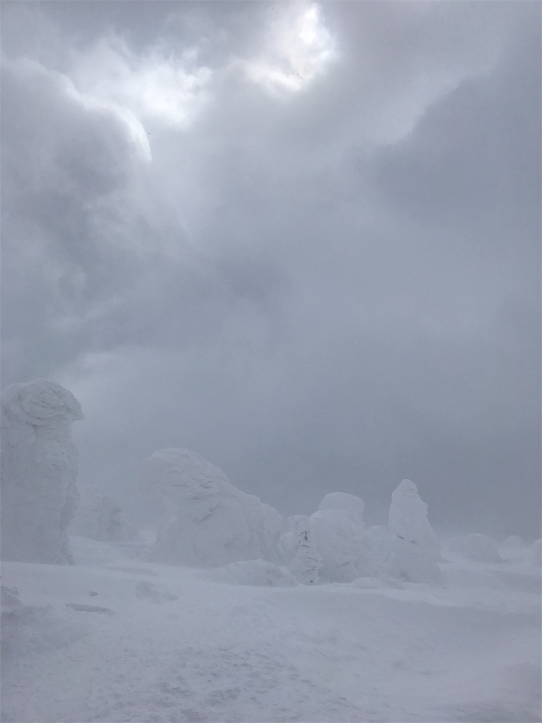 荒ぶる雪雲と吹き荒れる風とスノーモンスター