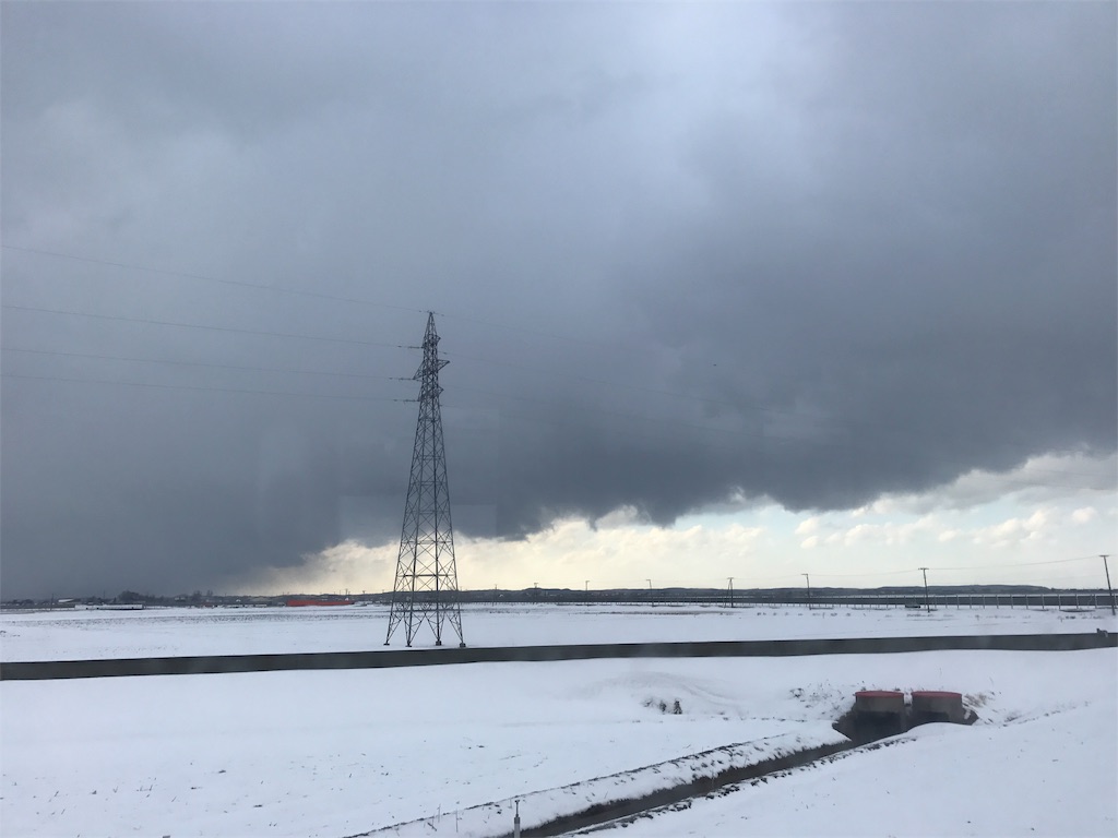 鉄塔の立つ雪の田圃と地平線と空。