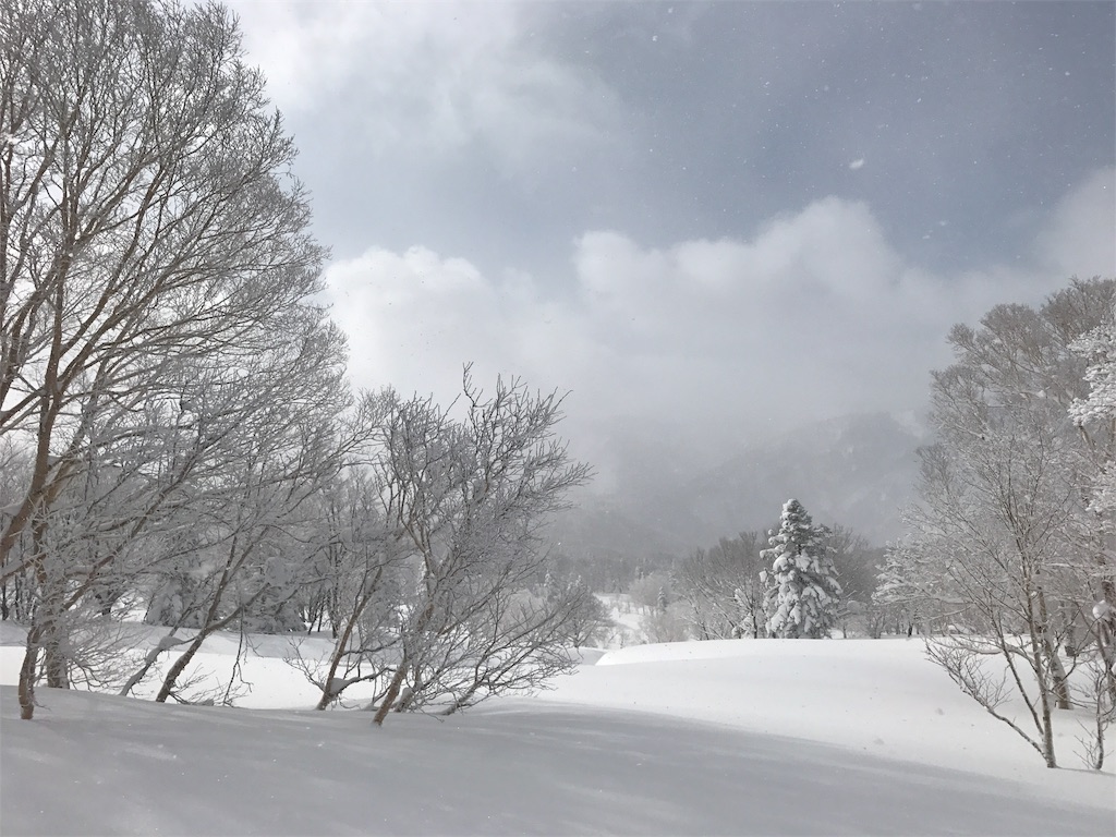 ふかふかに積もった雪。