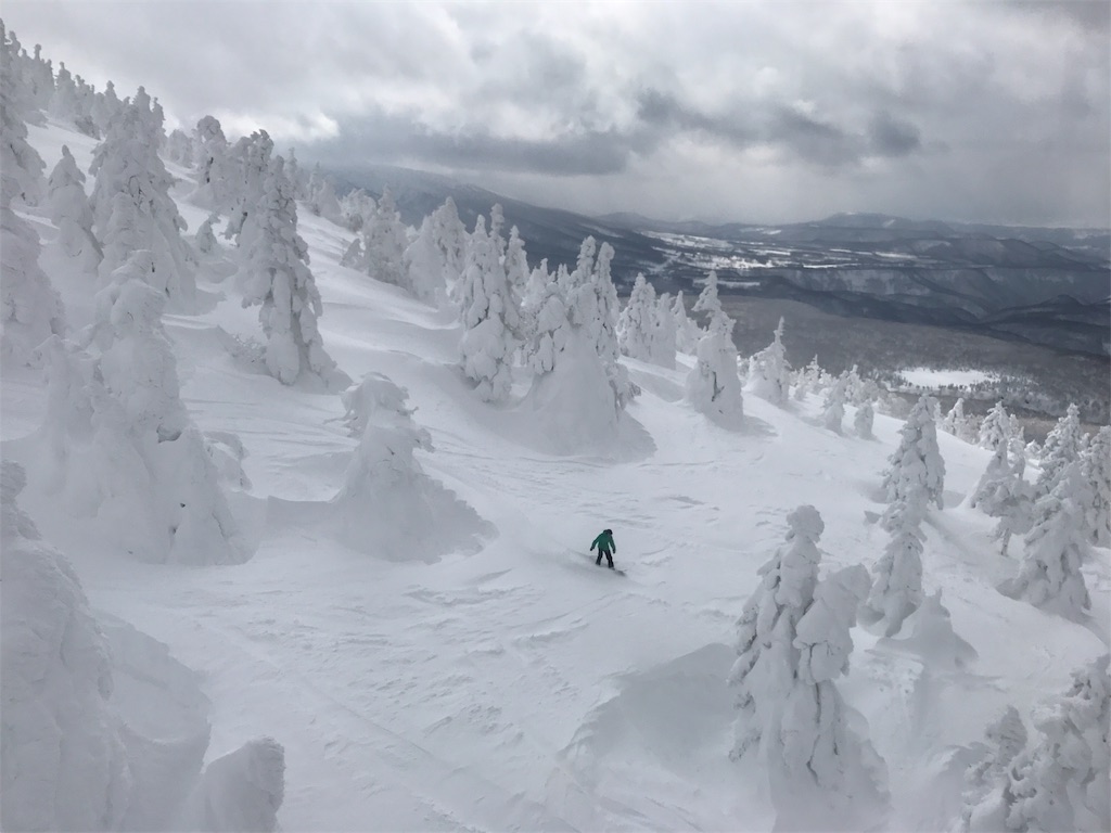 スノーボーダーが雪に覆われた樹林の中を滑って行きます。