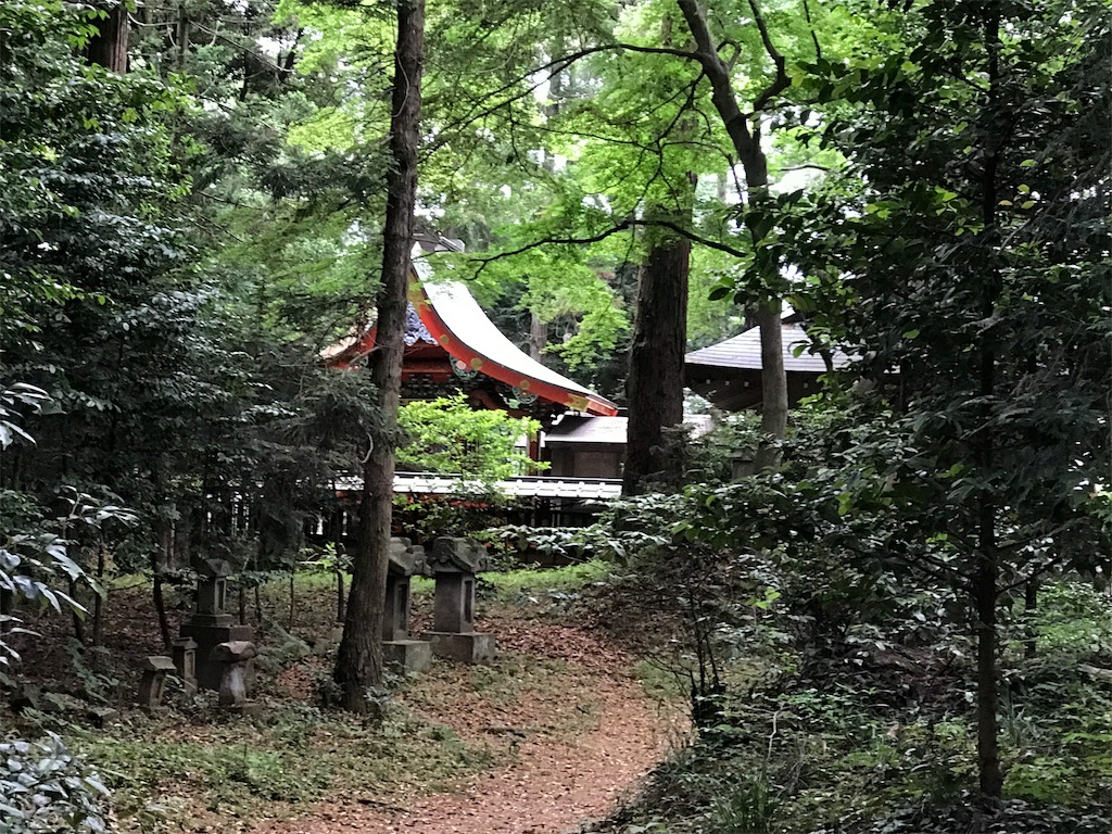 クラウンシャイネス ちーば探険隊 おきらくごくらく