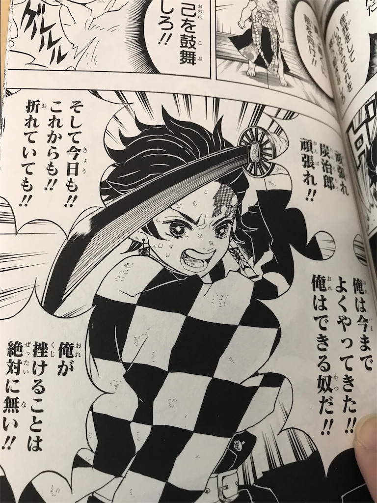 鬼滅の刃 にめっちゃ回復力をもらった話 おきらくごくらく