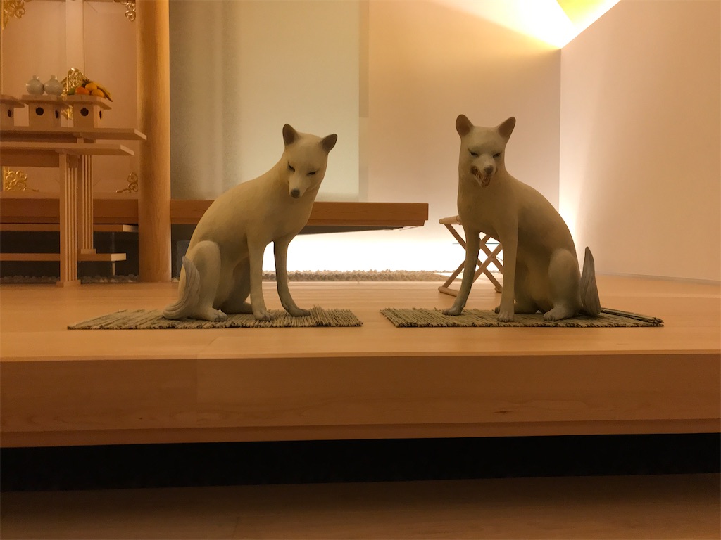 なんだか近づくのがドキドキします