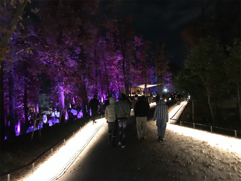 東所沢公園の「どんぐりの森の呼応する生命」