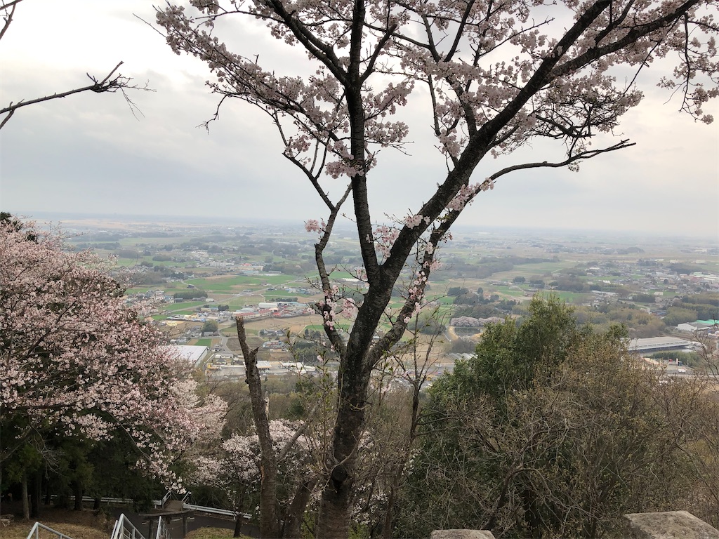 三毳神社からの眺め