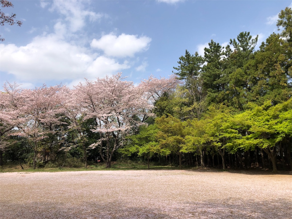 桜の天国