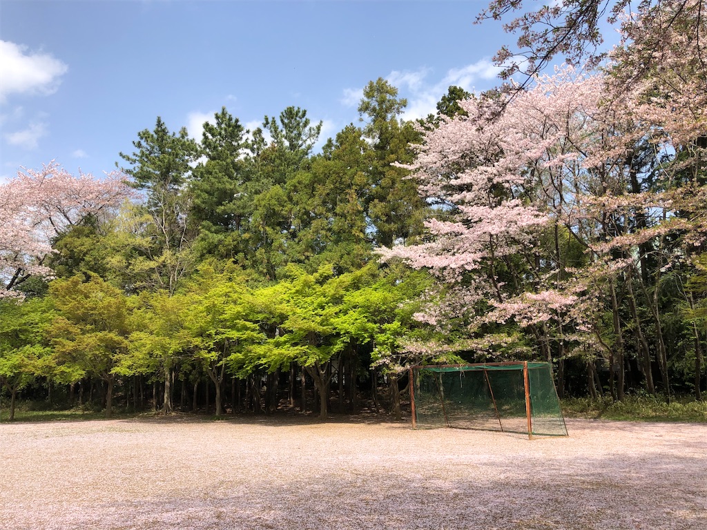 東漸寺の桜