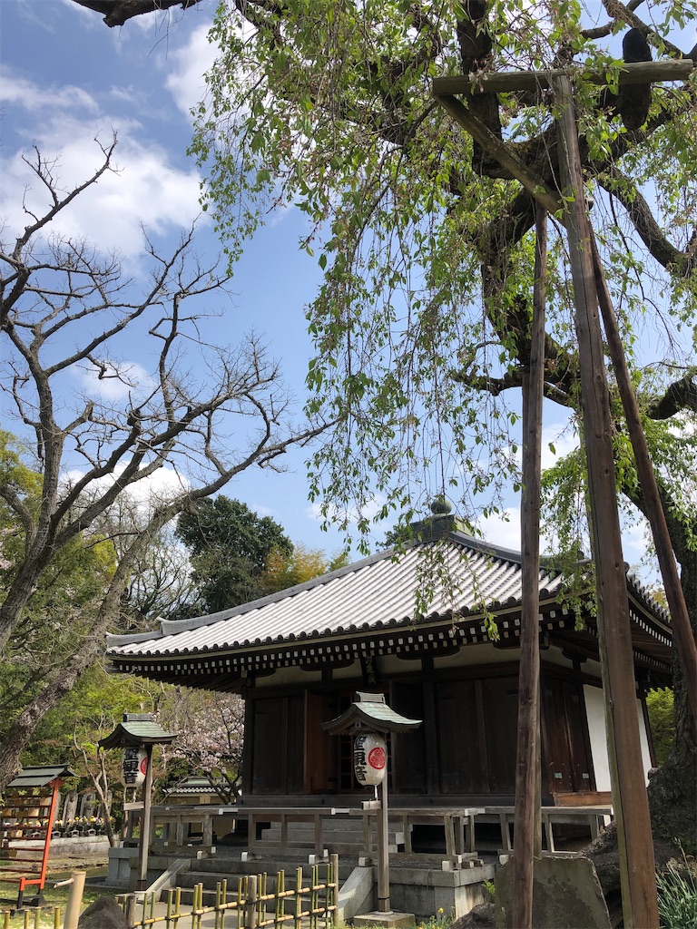 樹齢320年と言われるエドヒガンのしだれ桜