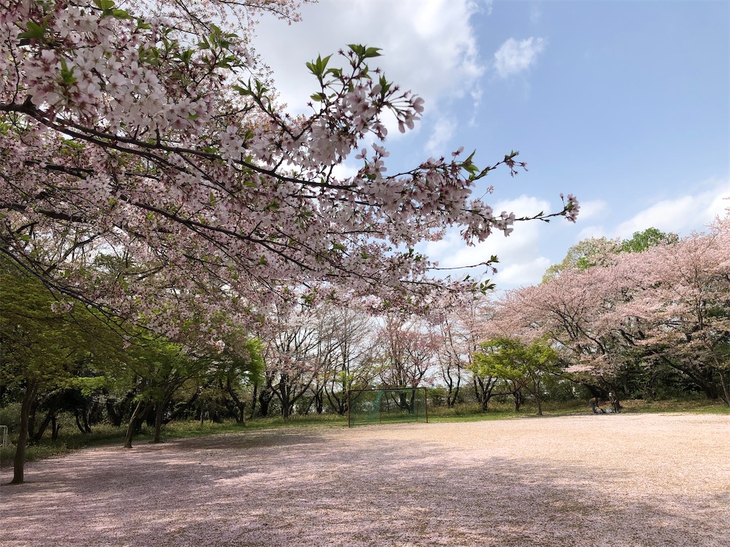 桜色の世界