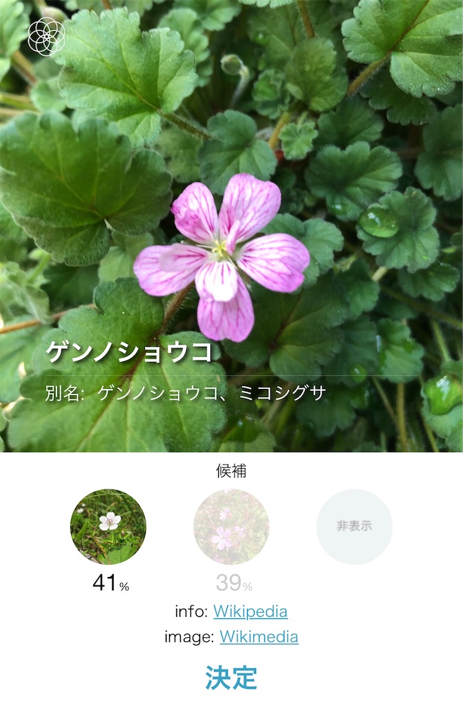 ゲンノショウコ？