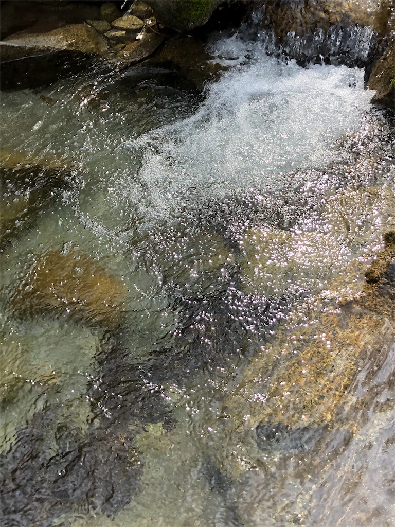 水がきれい。