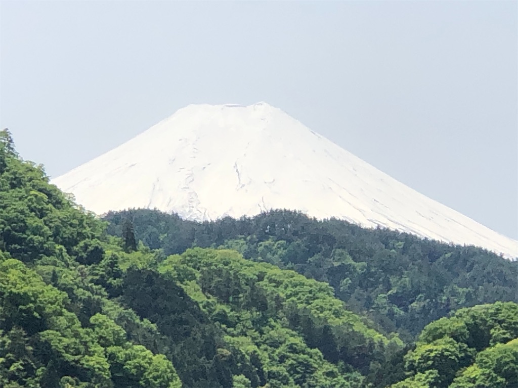 サービスエリアから見た富士山