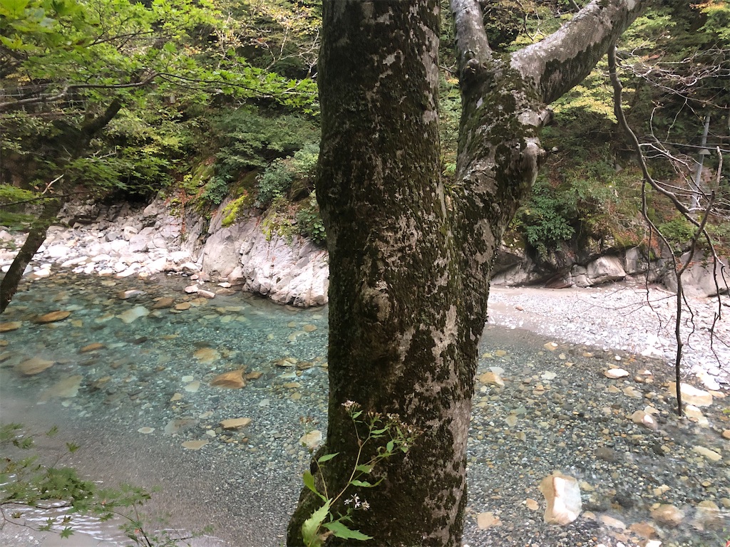 黒薙川