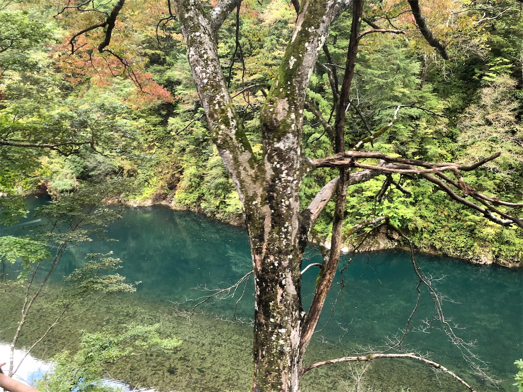 釣鐘駅からの眺め