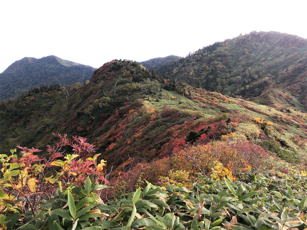神楽ヶ峰に向かって
