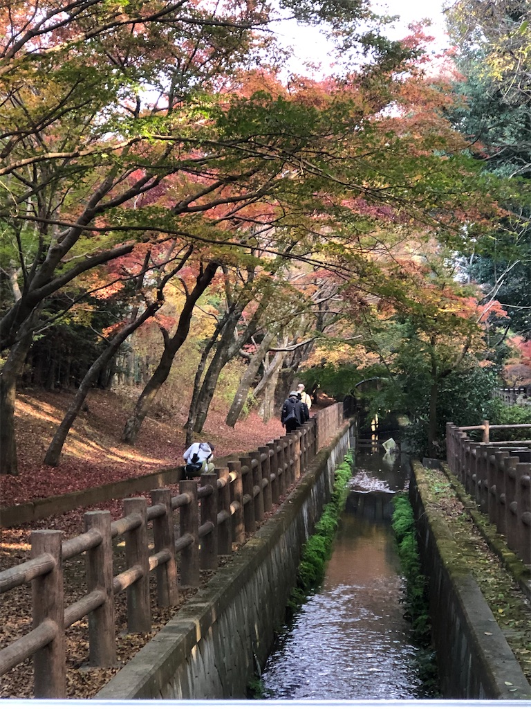 紅葉と水路