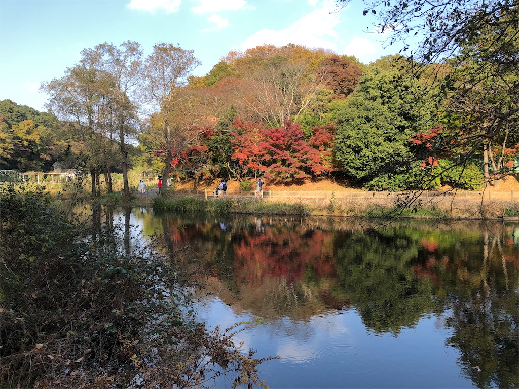 池に映る紅葉