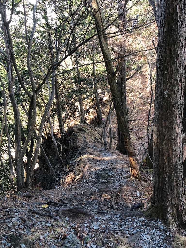 細尾根の下り