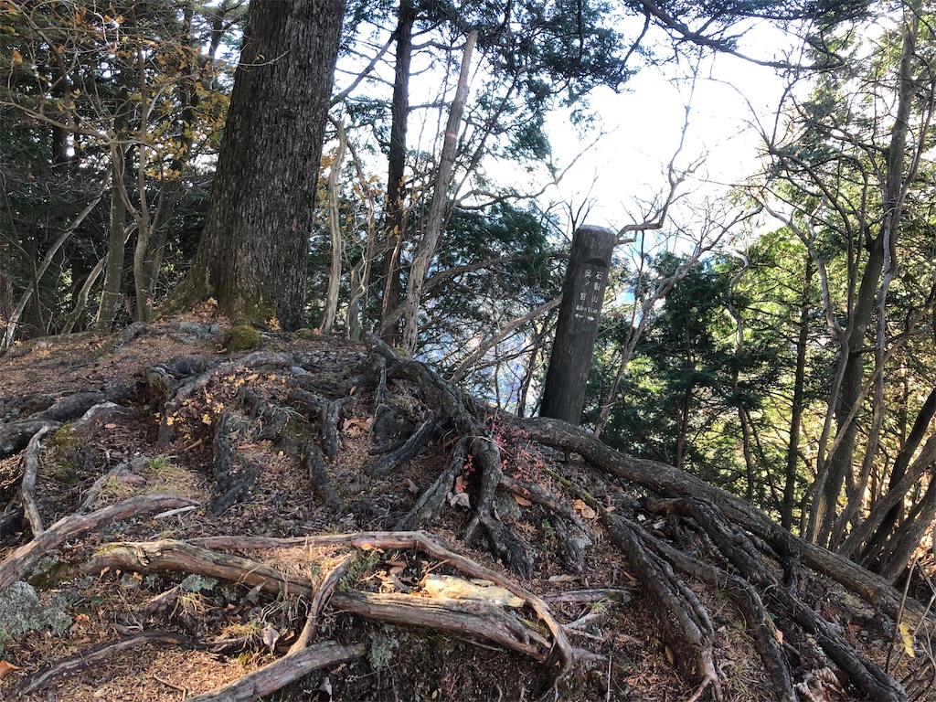 標識が刺さってる
