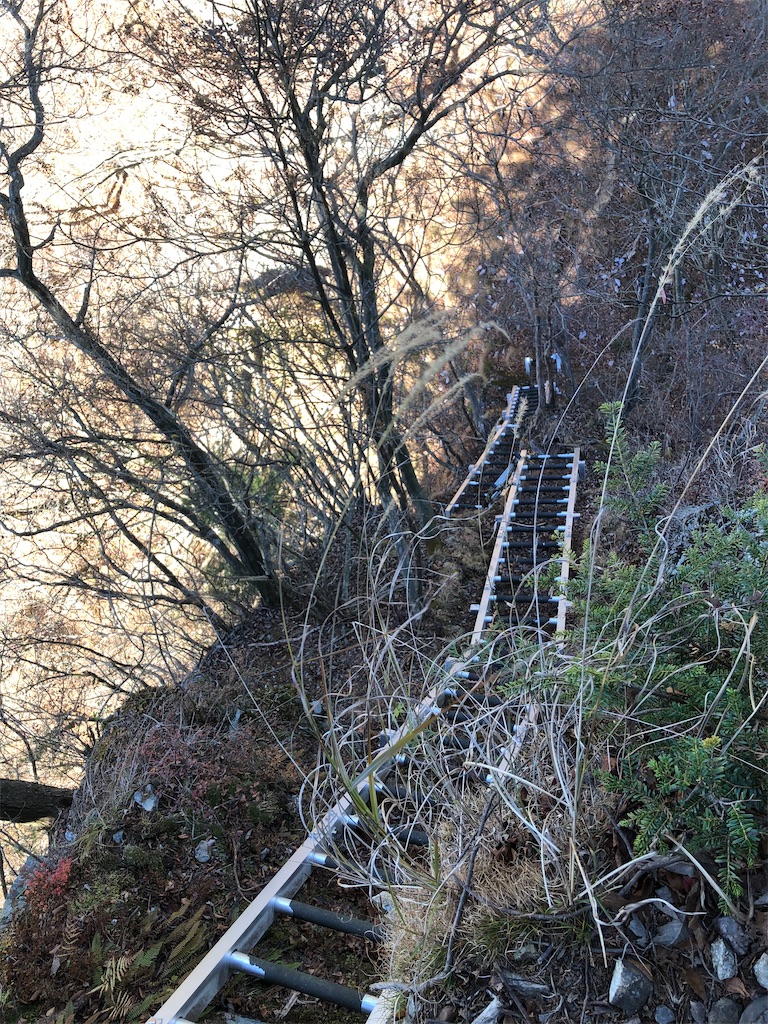 長梯子の連続の下りが出現！