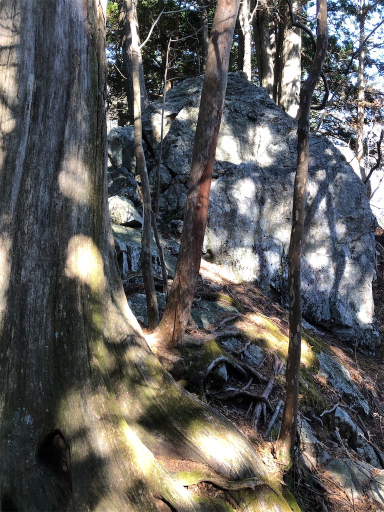 大きな白い岩が登山道に