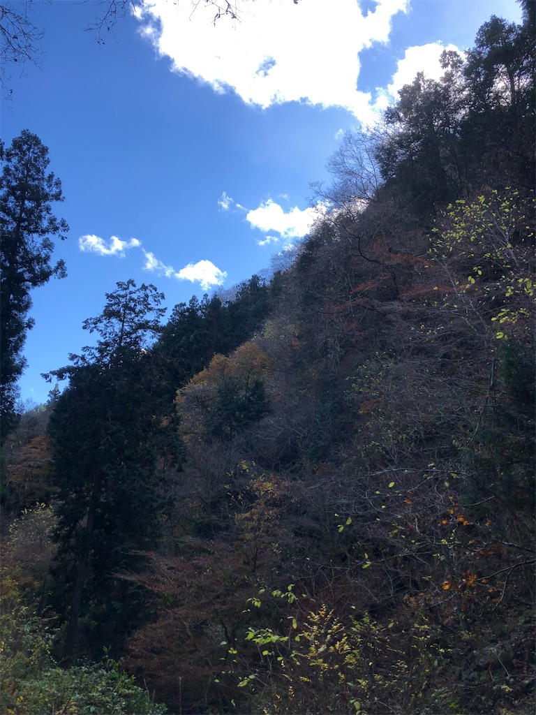 良いお天気ですが、寒気が入って寒いです。