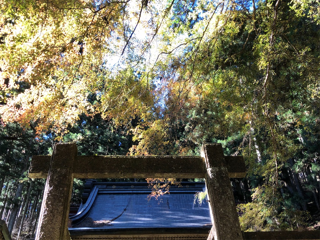 本殿にかかる紅葉が見事でした。