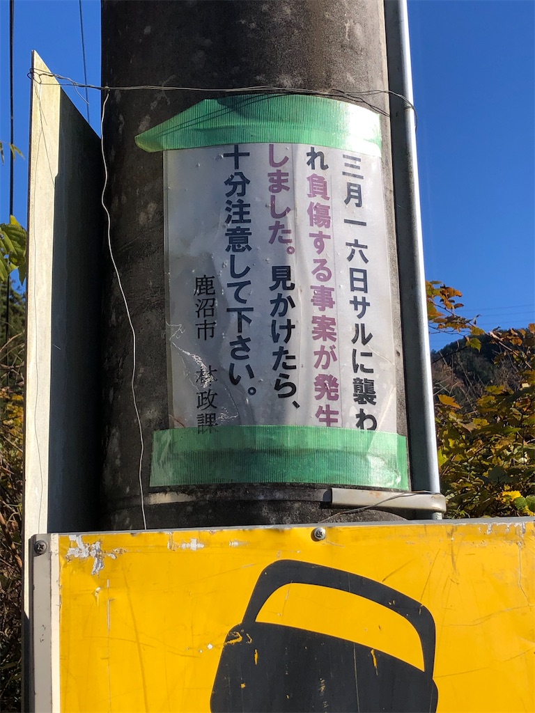 サル注意