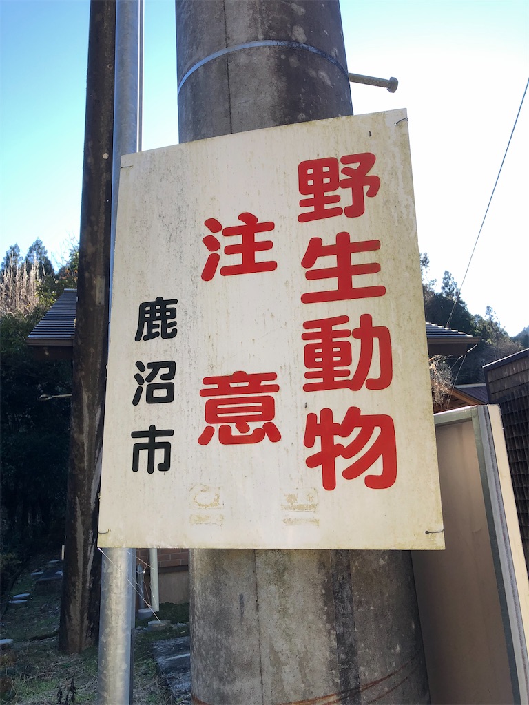 野生動物注意の看板