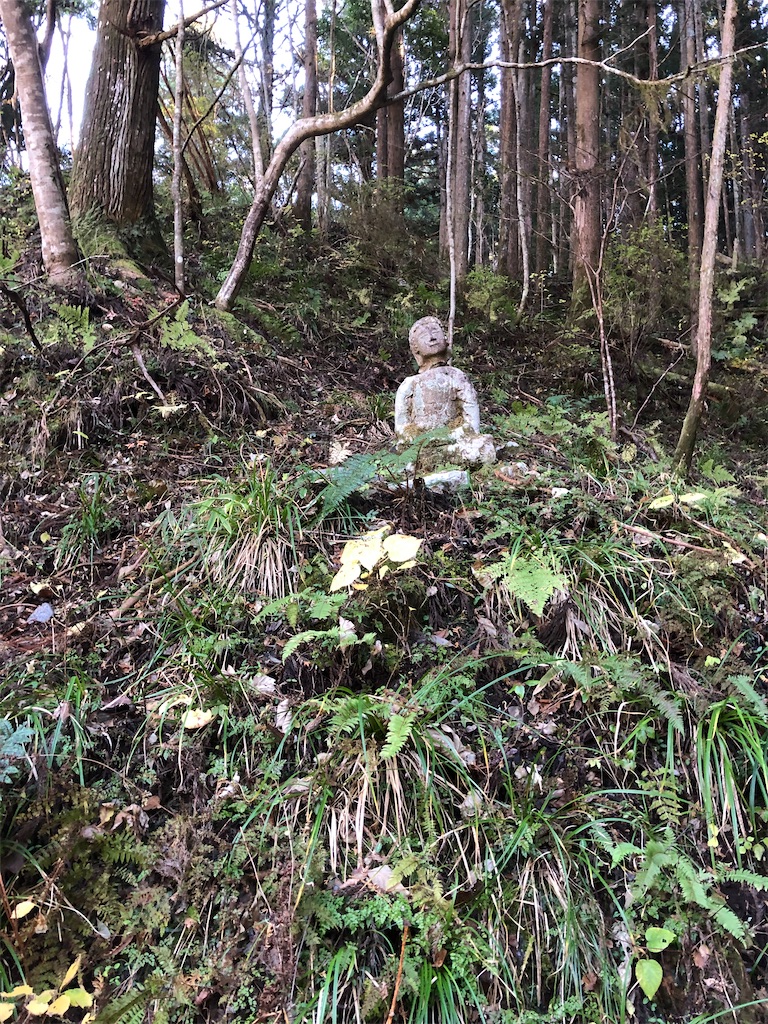 ひっそりと草の中で微笑む