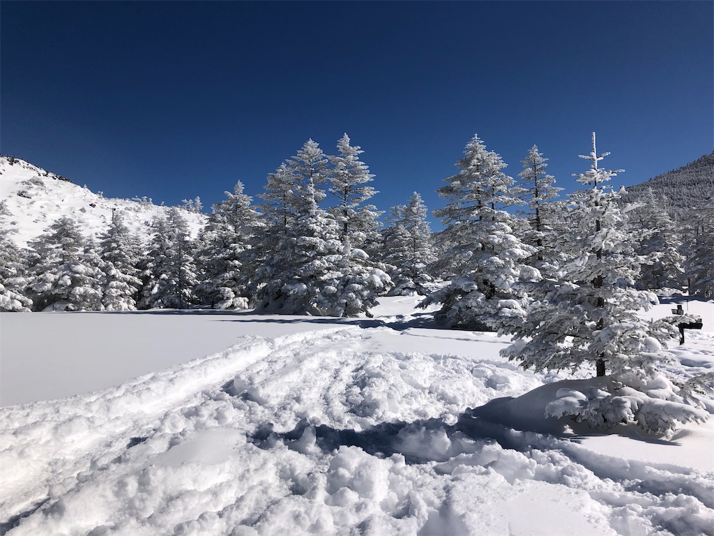 右手が縞枯山