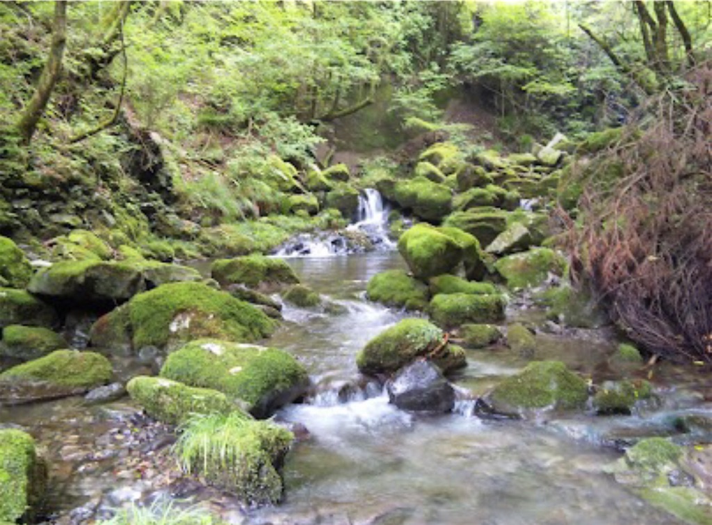 かなり昔から大好きな沢。