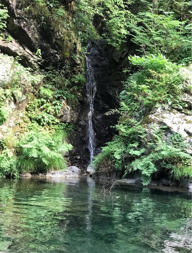 隠れた小滝