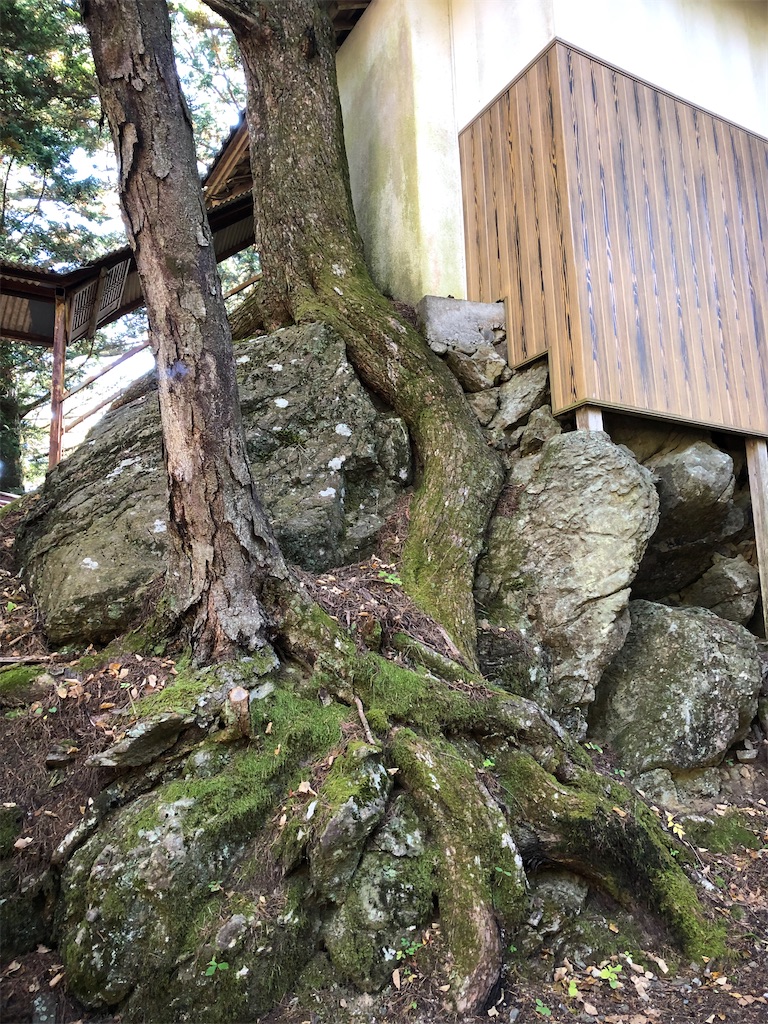 この岩の中で、即身仏となられたそうです。