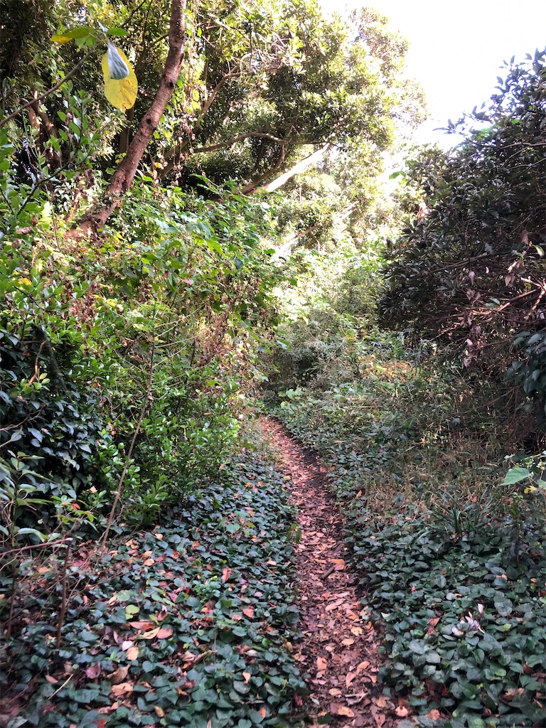 明神岬への降り口がありました。