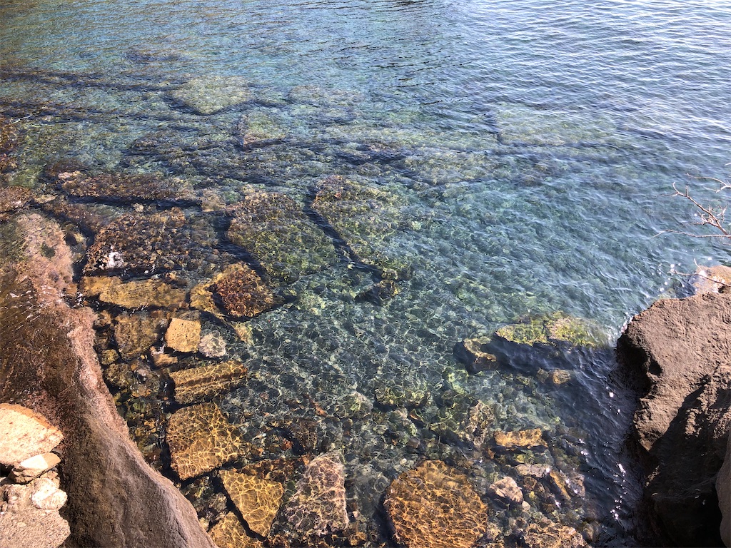 海の水がとてもきれい〜〜