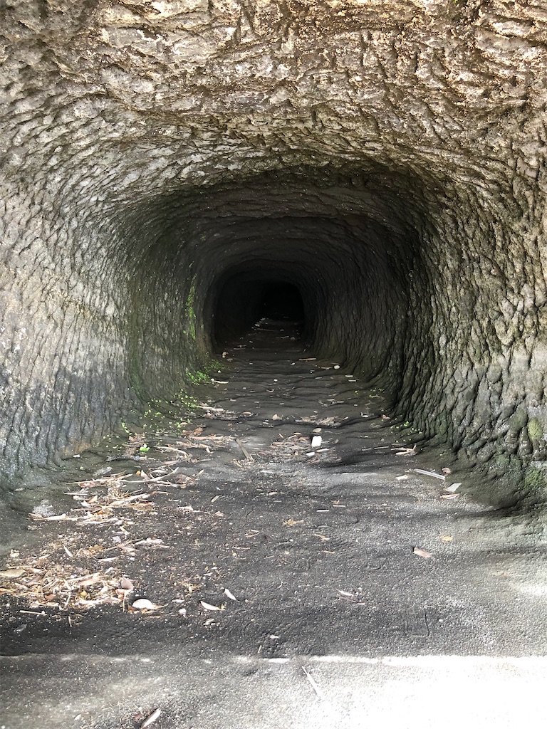 魚雷射堡跡