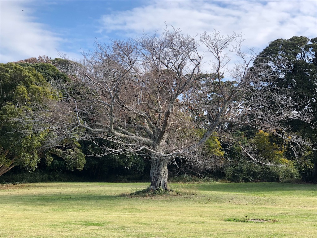 第１展望台園地