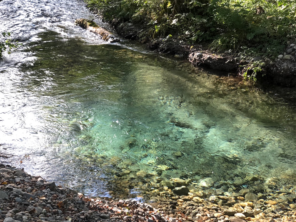 徳沢を流れる美しい小川