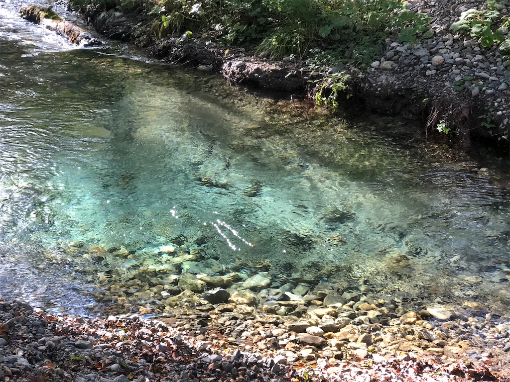 徳沢を流れる美しい小川