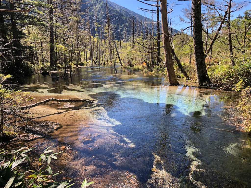 岳沢湿原