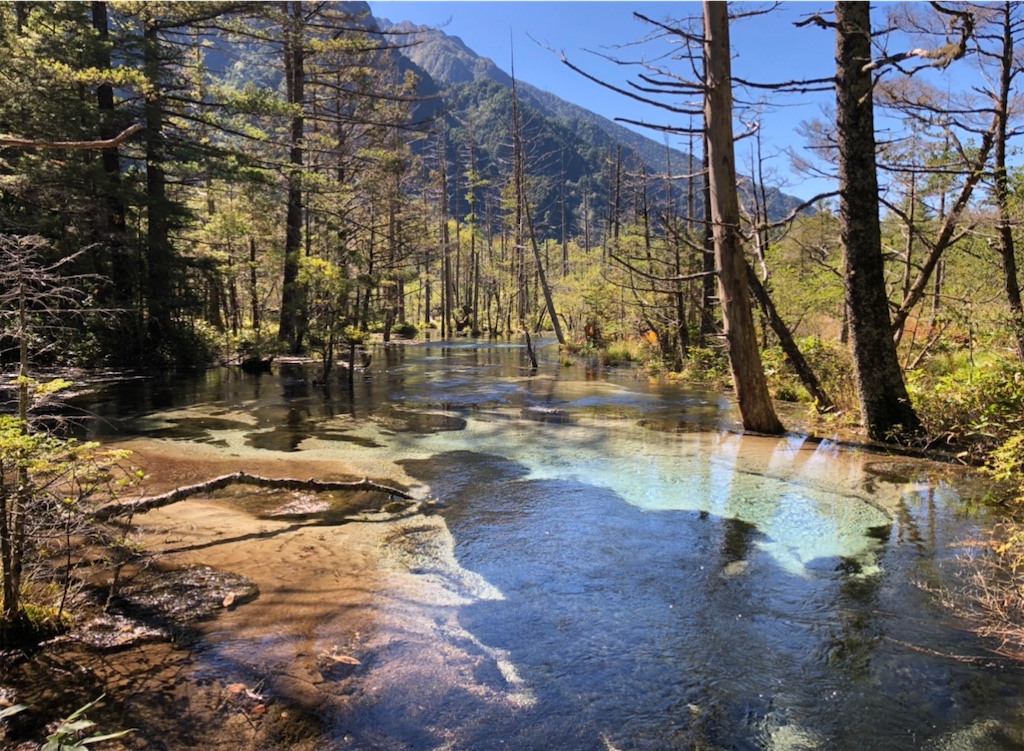 岳沢湿原